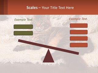 Conceptual Build Man PowerPoint Template