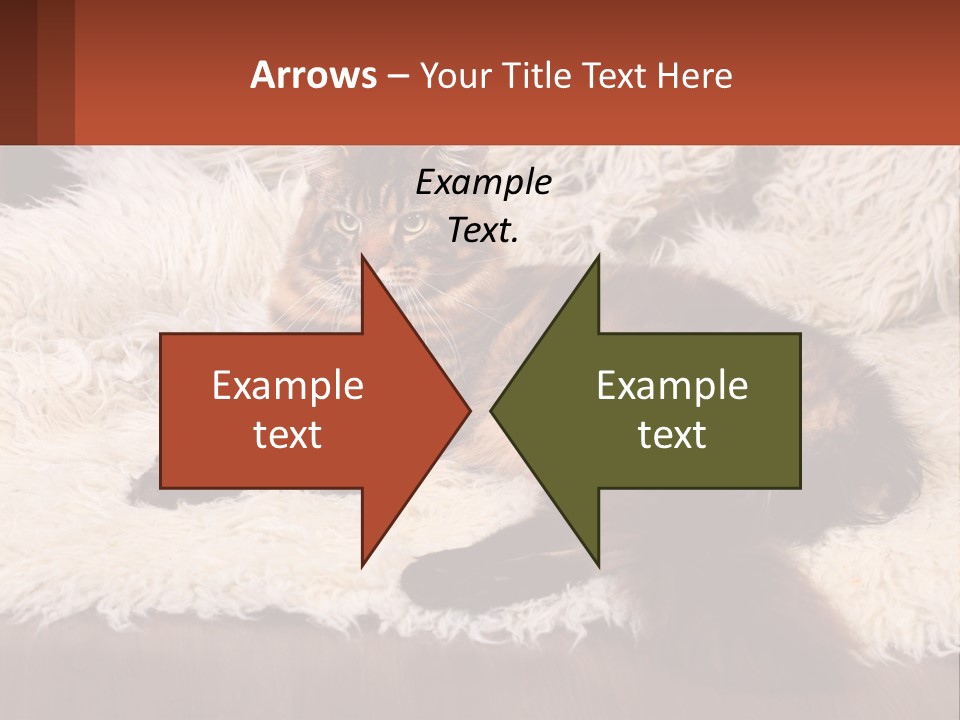 Conceptual Build Man PowerPoint Template