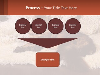 Conceptual Build Man PowerPoint Template