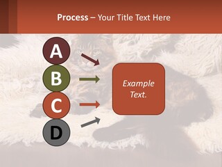 Conceptual Build Man PowerPoint Template