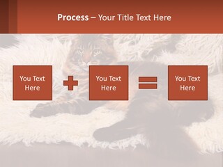 Conceptual Build Man PowerPoint Template