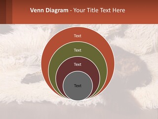 Conceptual Build Man PowerPoint Template