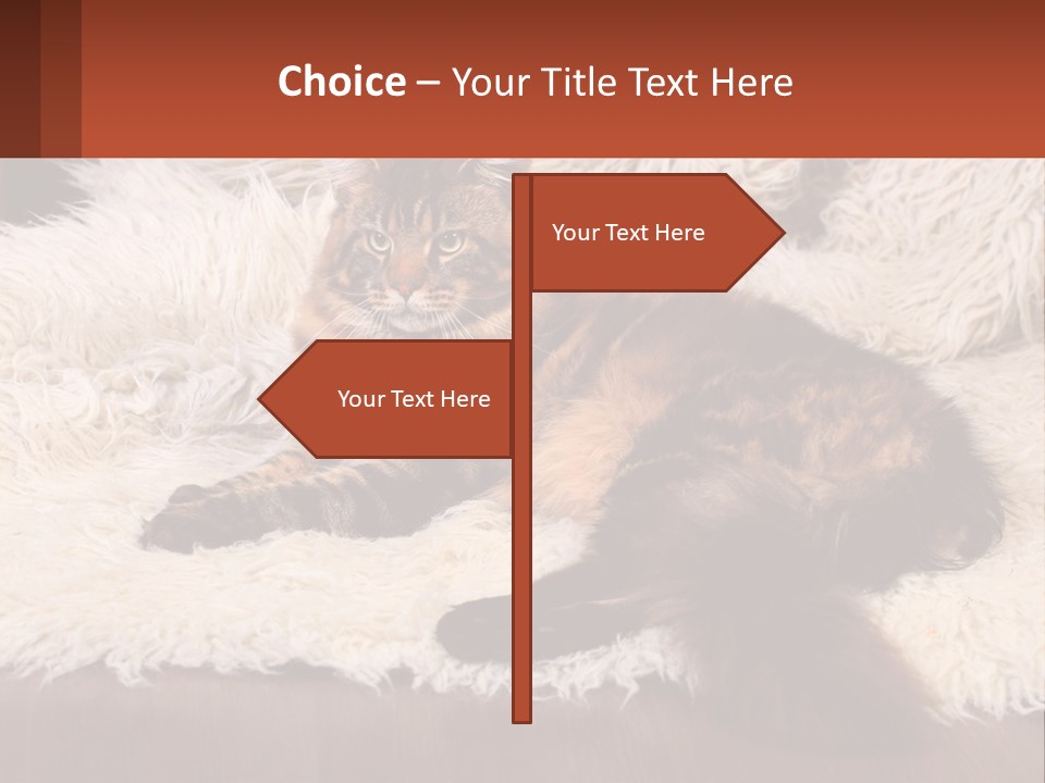 Conceptual Build Man PowerPoint Template