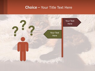 Conceptual Build Man PowerPoint Template