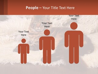 Conceptual Build Man PowerPoint Template