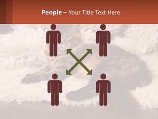 Conceptual Build Man PowerPoint Template