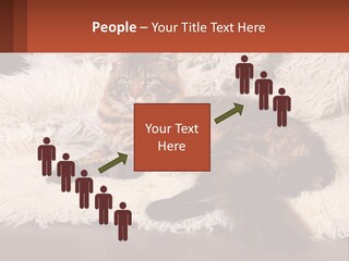 Conceptual Build Man PowerPoint Template