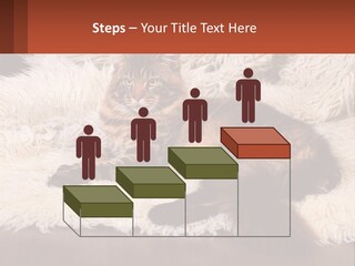 Conceptual Build Man PowerPoint Template