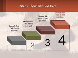 Conceptual Build Man PowerPoint Template