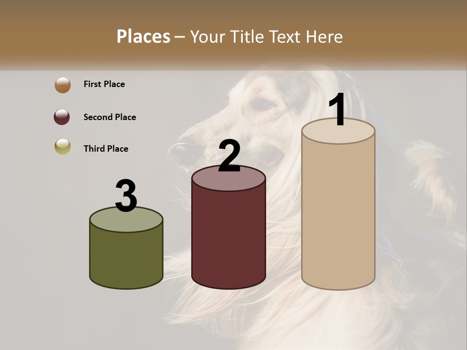 Park Construct Loan PowerPoint Template