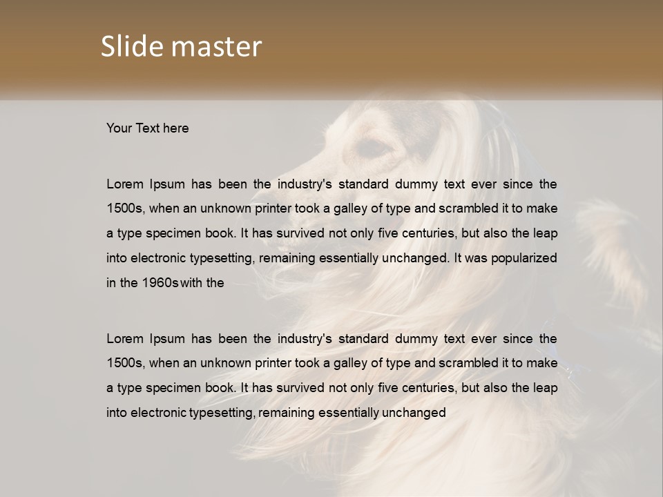 Park Construct Loan PowerPoint Template