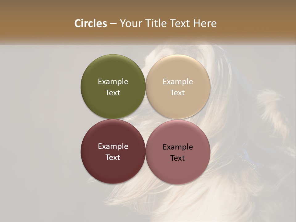 Park Construct Loan PowerPoint Template