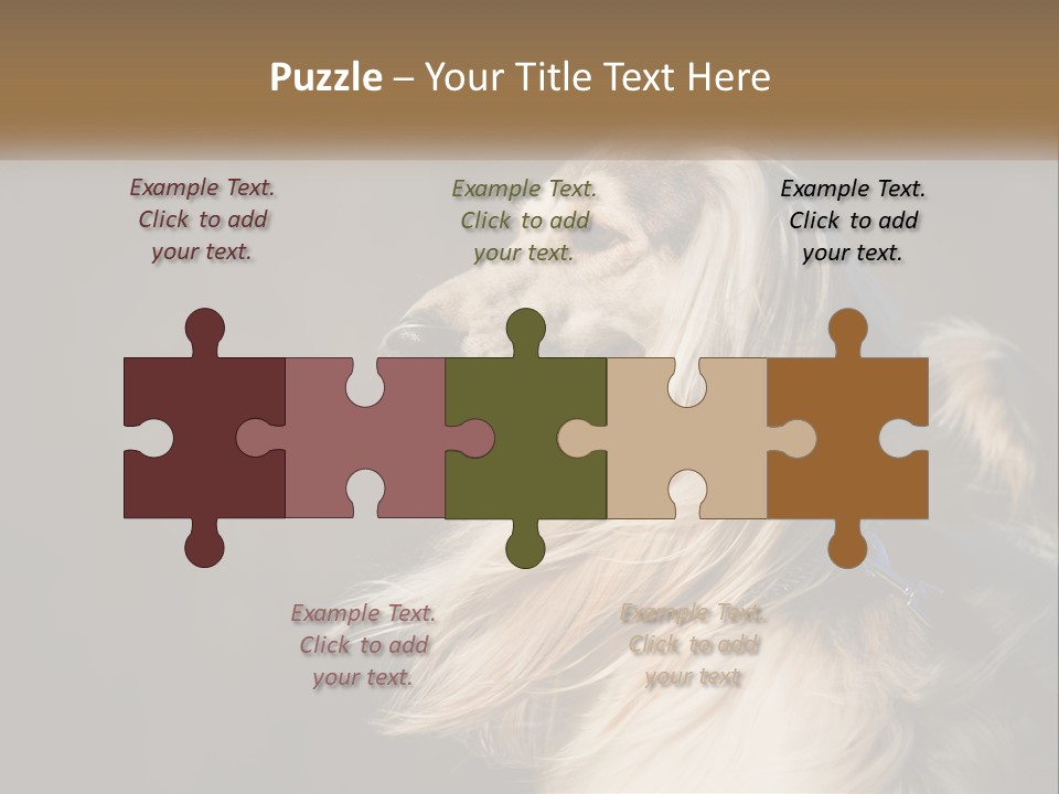 Park Construct Loan PowerPoint Template