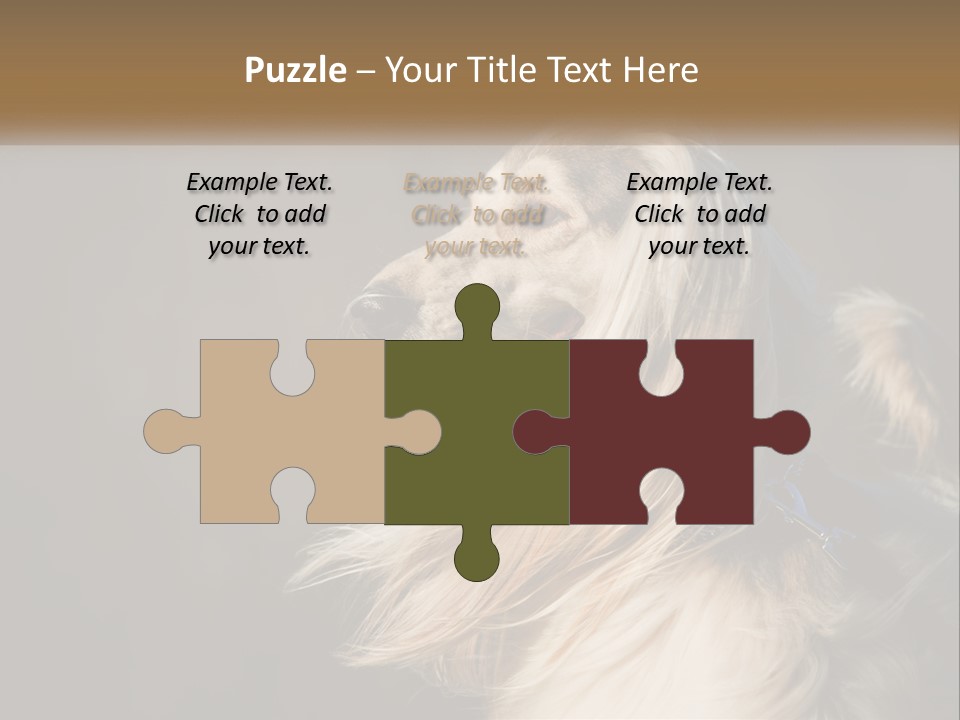 Park Construct Loan PowerPoint Template