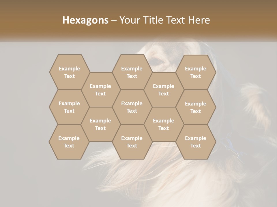 Park Construct Loan PowerPoint Template