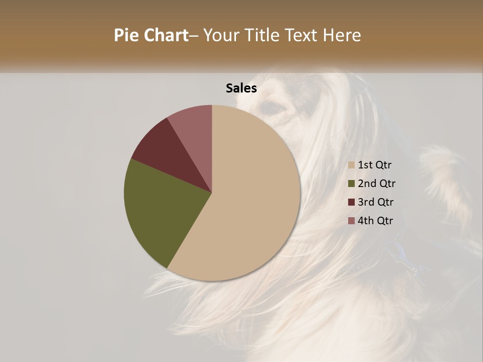 Park Construct Loan PowerPoint Template