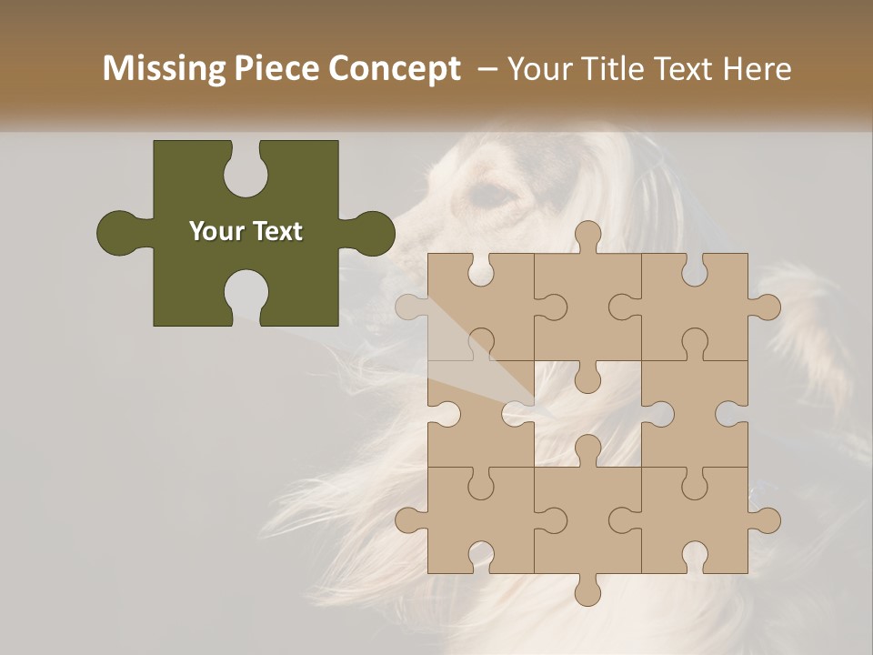 Park Construct Loan PowerPoint Template