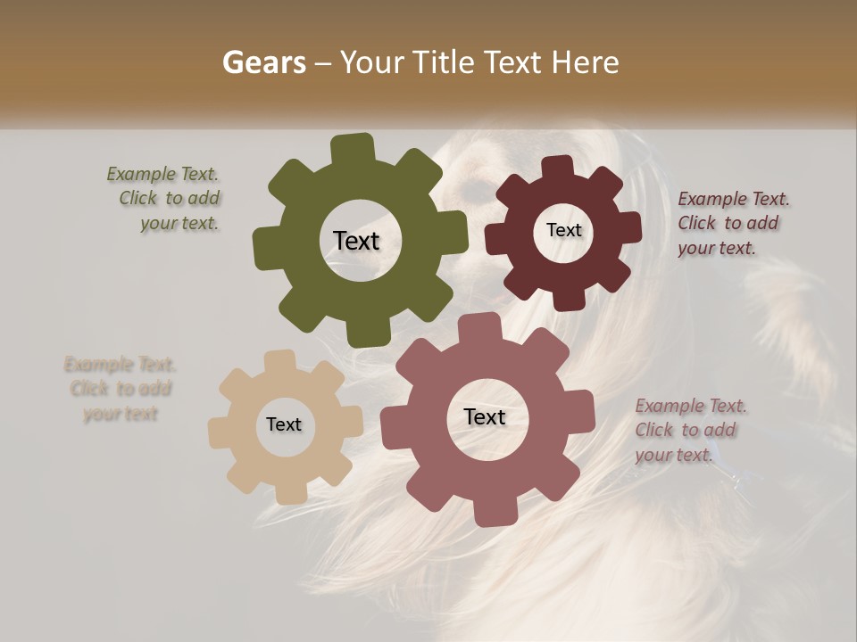 Park Construct Loan PowerPoint Template