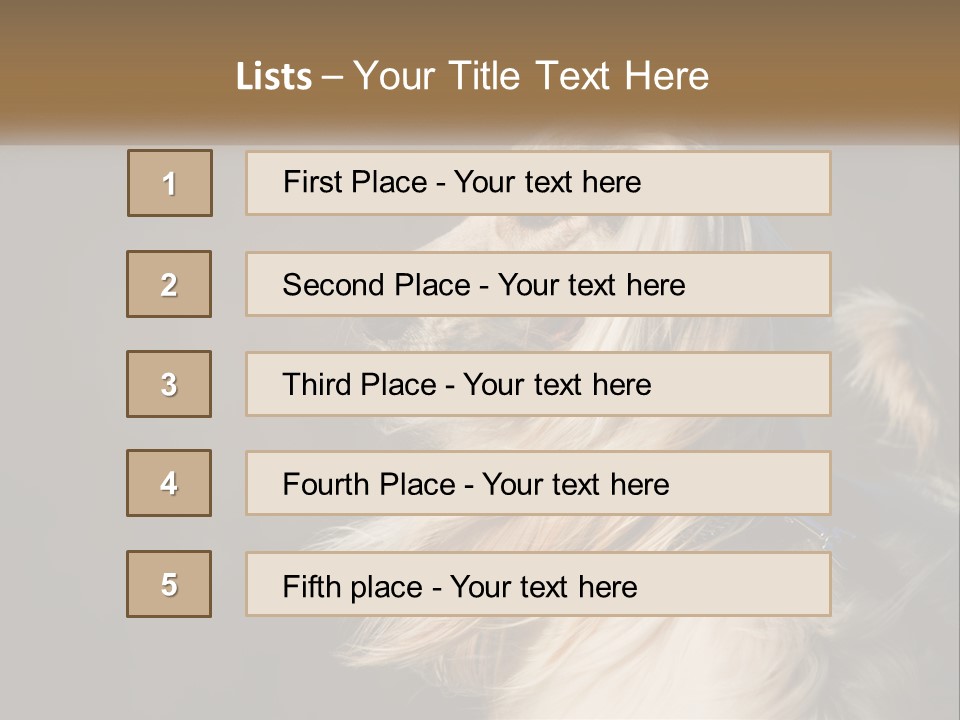 Park Construct Loan PowerPoint Template