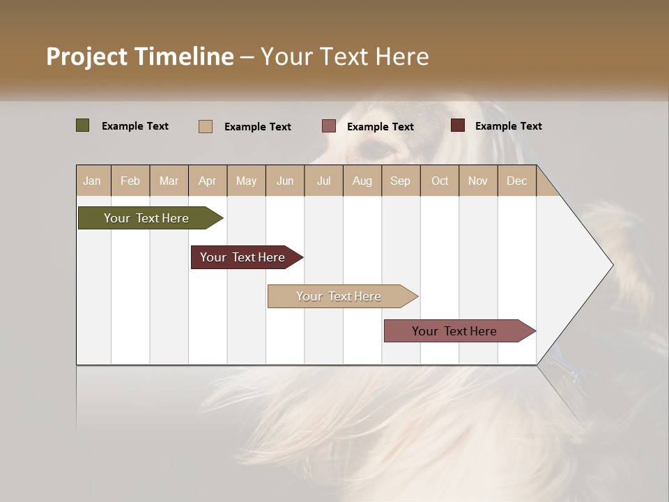 Park Construct Loan PowerPoint Template