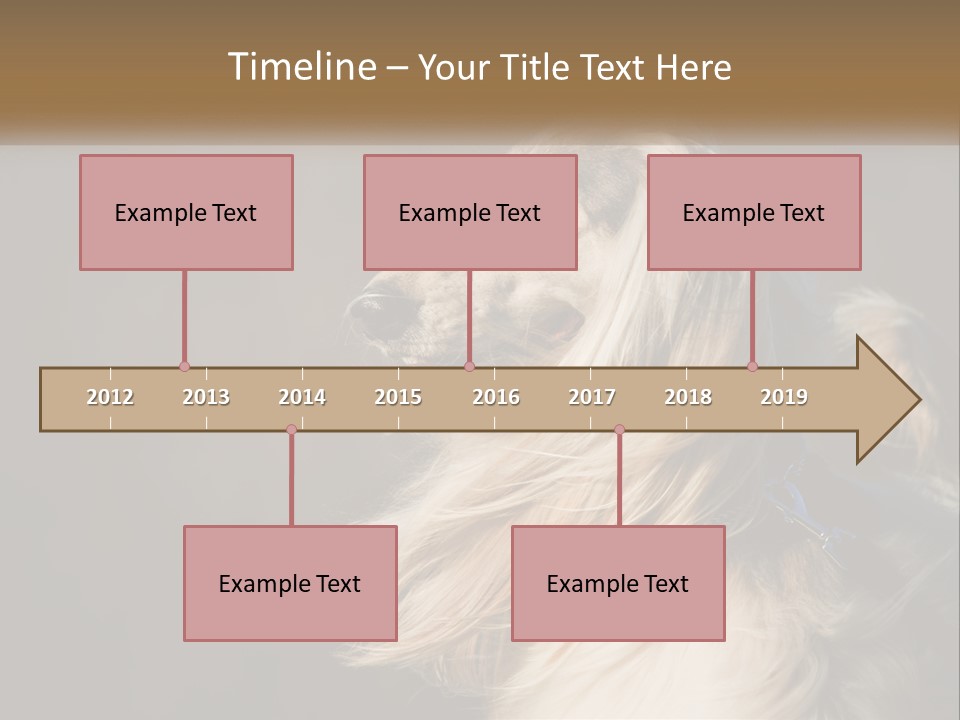 Park Construct Loan PowerPoint Template