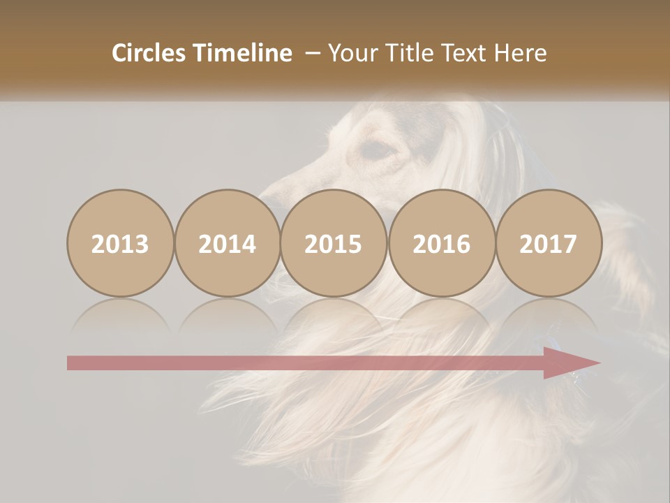 Park Construct Loan PowerPoint Template