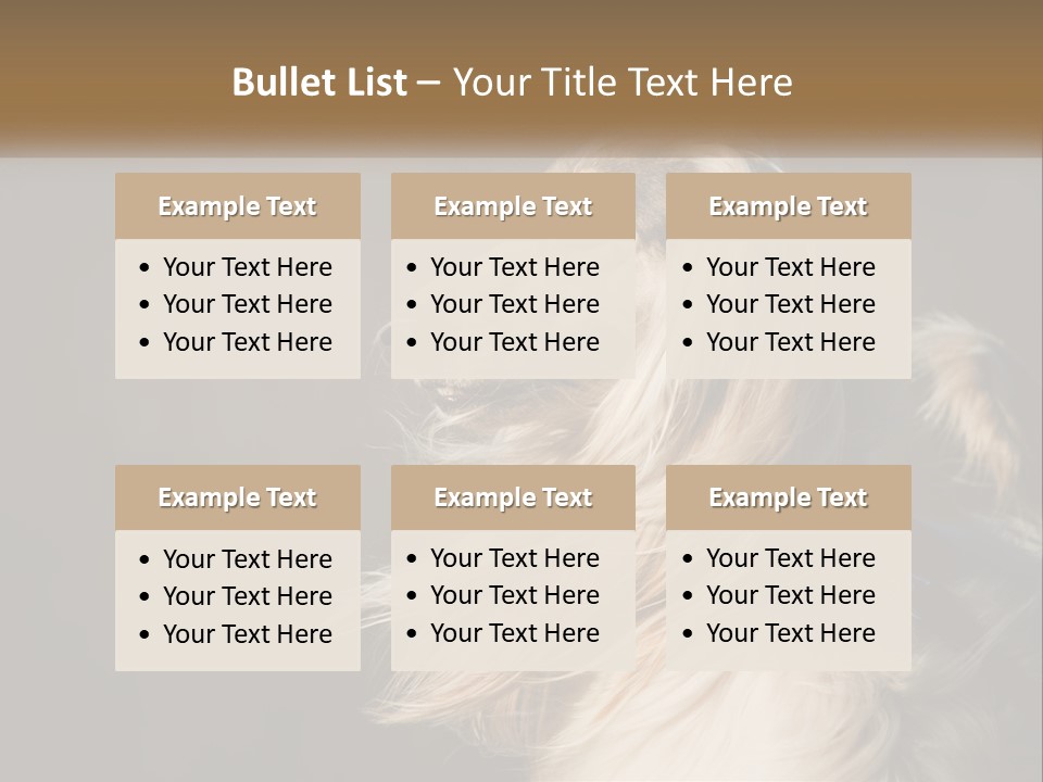 Park Construct Loan PowerPoint Template