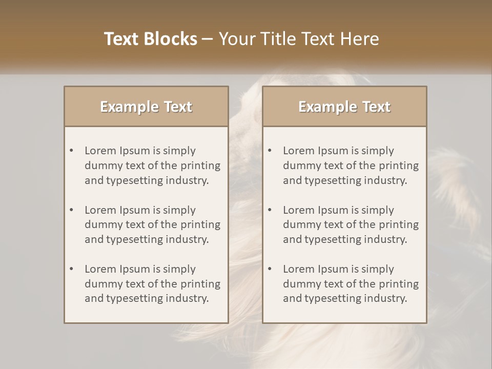 Park Construct Loan PowerPoint Template