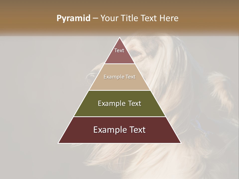 Park Construct Loan PowerPoint Template