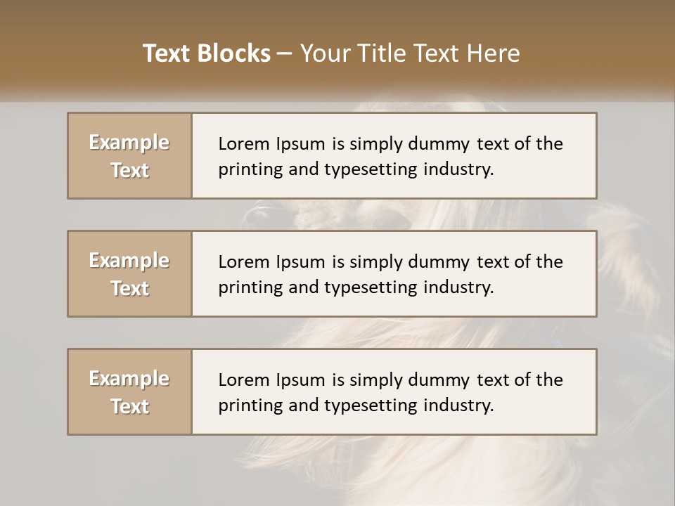 Park Construct Loan PowerPoint Template