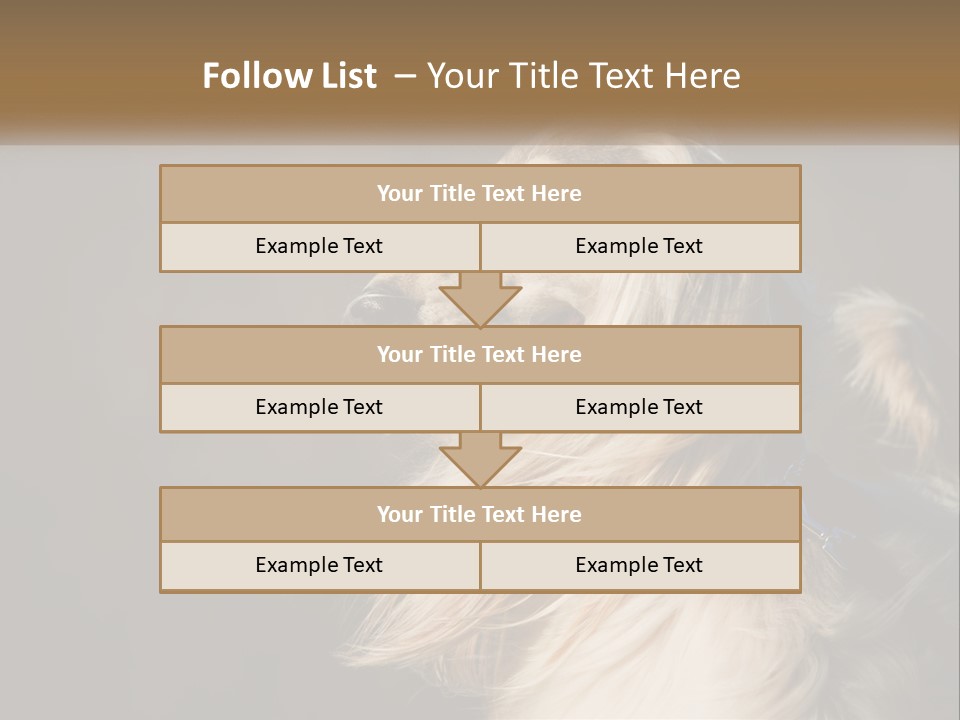 Park Construct Loan PowerPoint Template