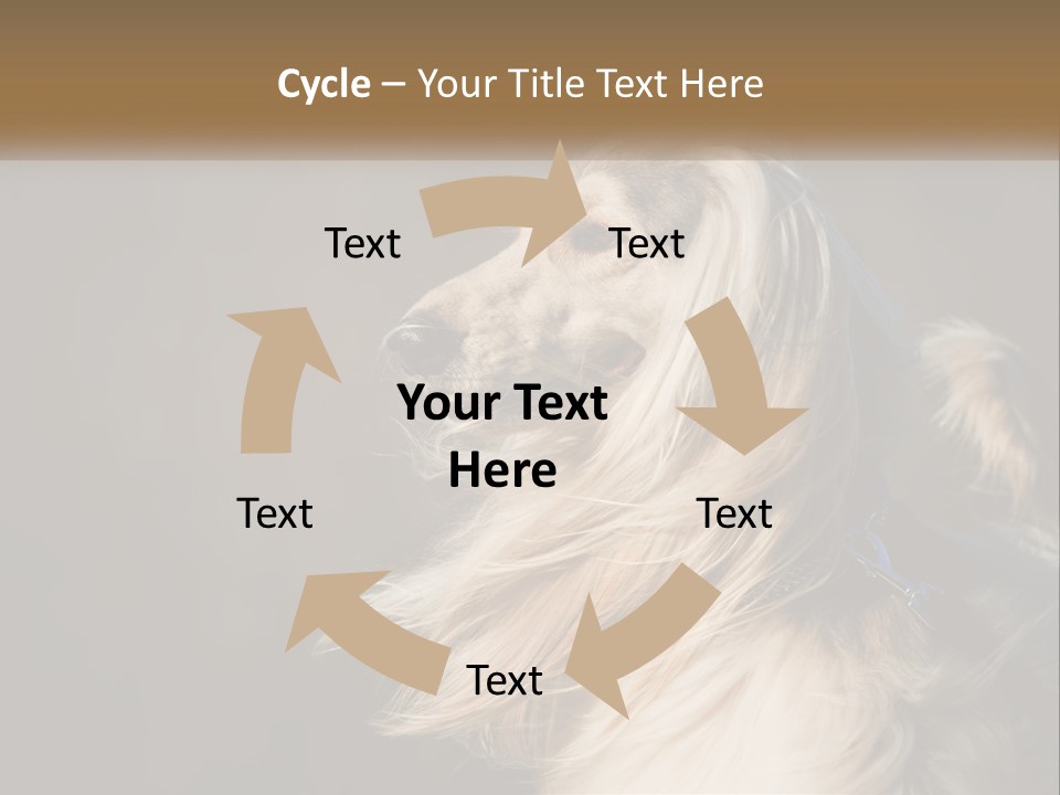 Park Construct Loan PowerPoint Template