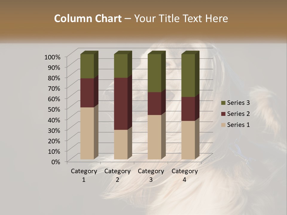 Park Construct Loan PowerPoint Template
