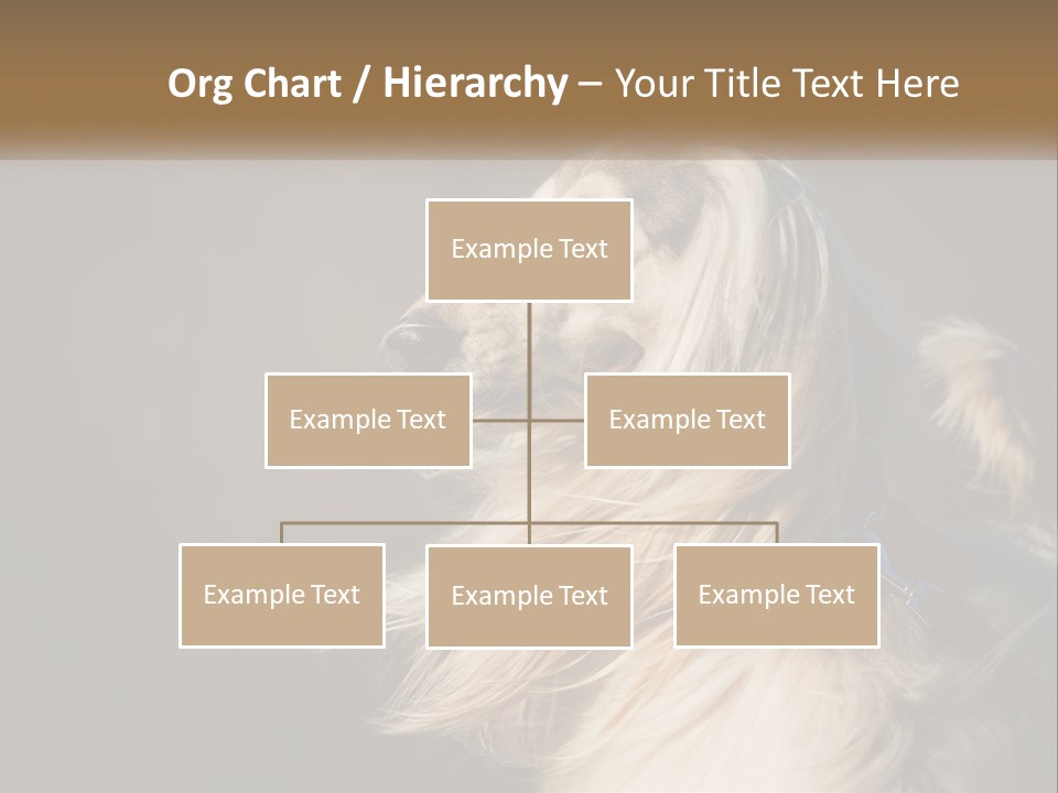Park Construct Loan PowerPoint Template