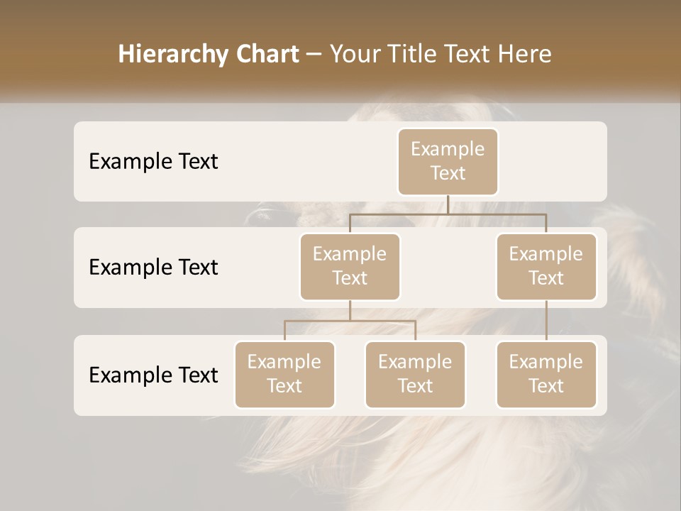 Park Construct Loan PowerPoint Template