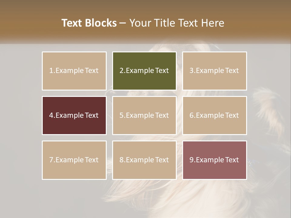 Park Construct Loan PowerPoint Template