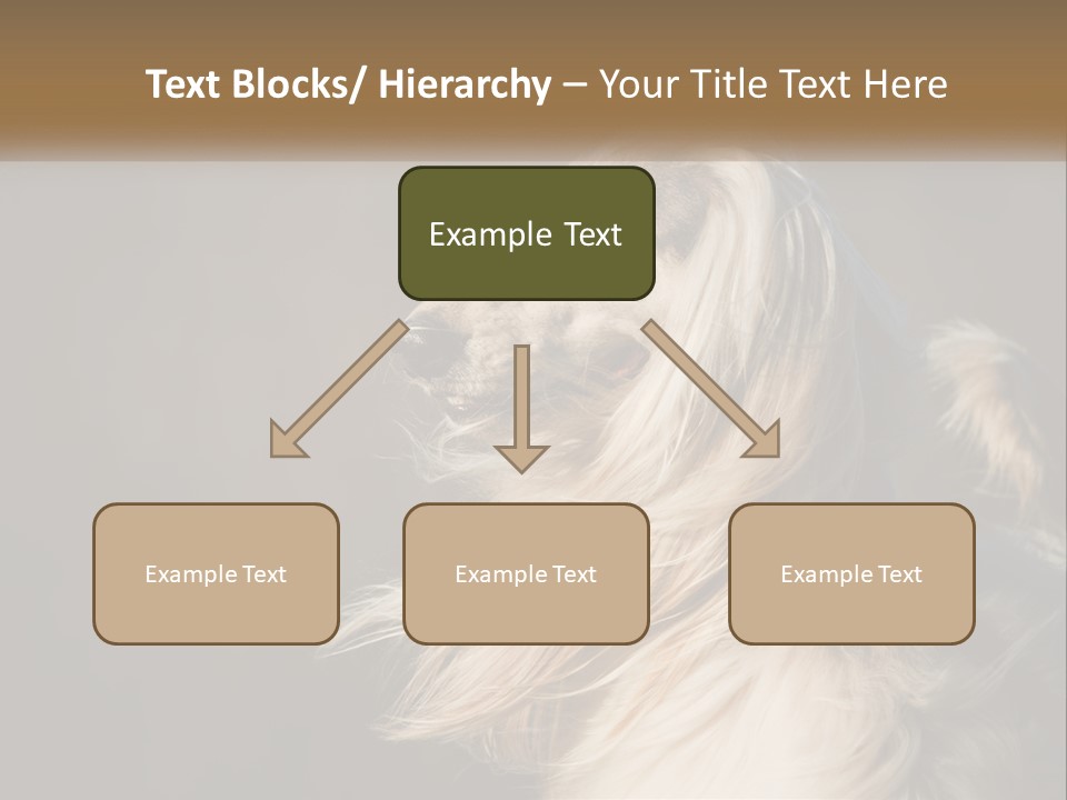 Park Construct Loan PowerPoint Template