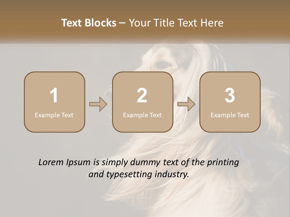 Park Construct Loan PowerPoint Template