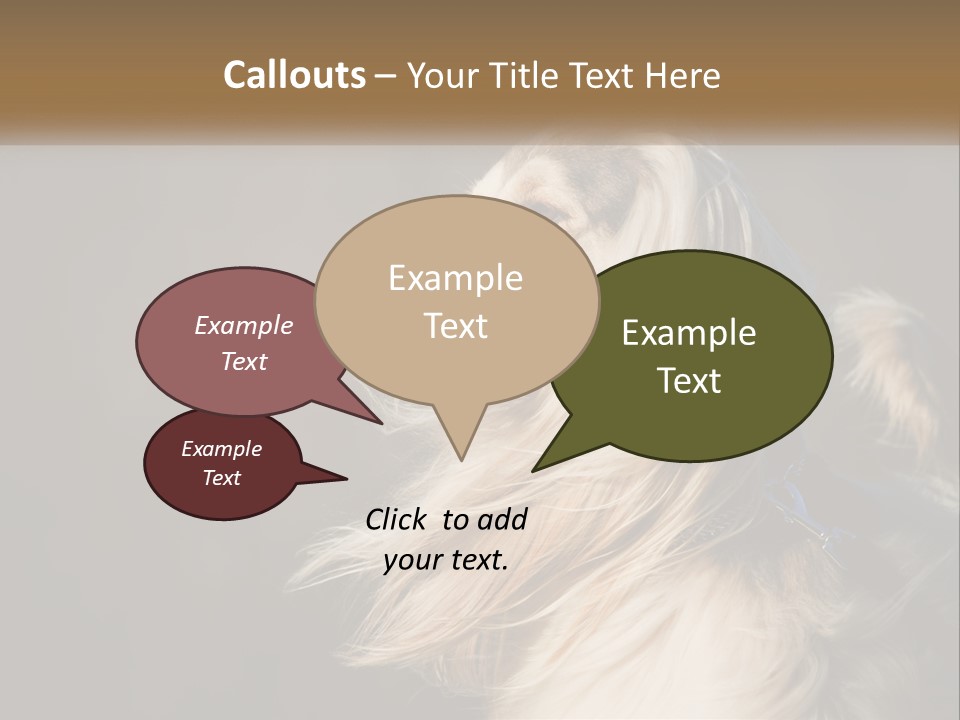 Park Construct Loan PowerPoint Template