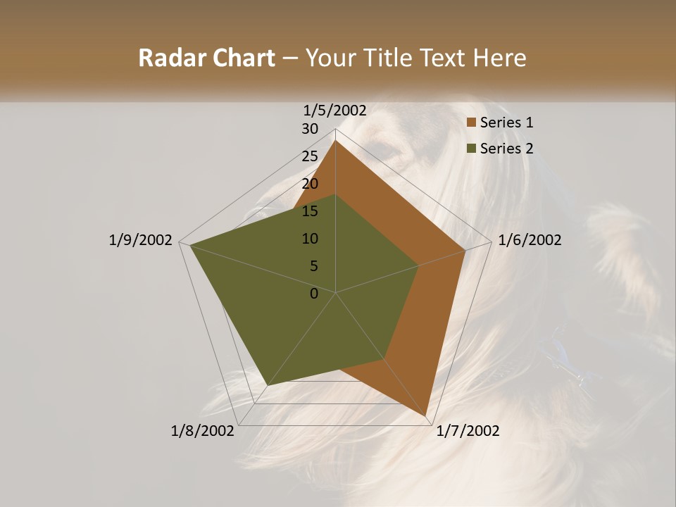Park Construct Loan PowerPoint Template