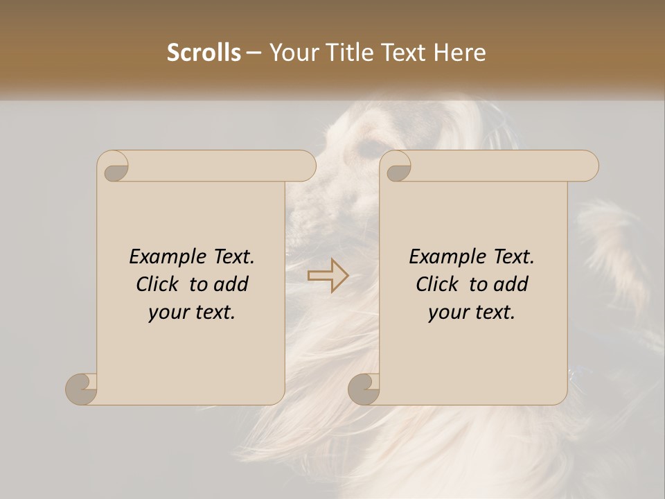 Park Construct Loan PowerPoint Template