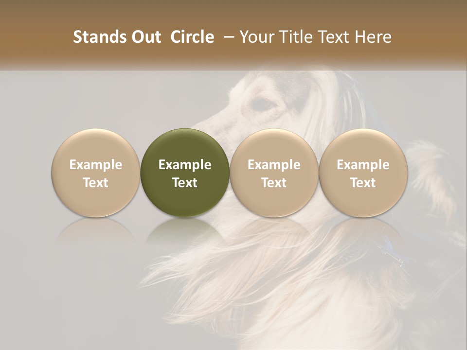 Park Construct Loan PowerPoint Template