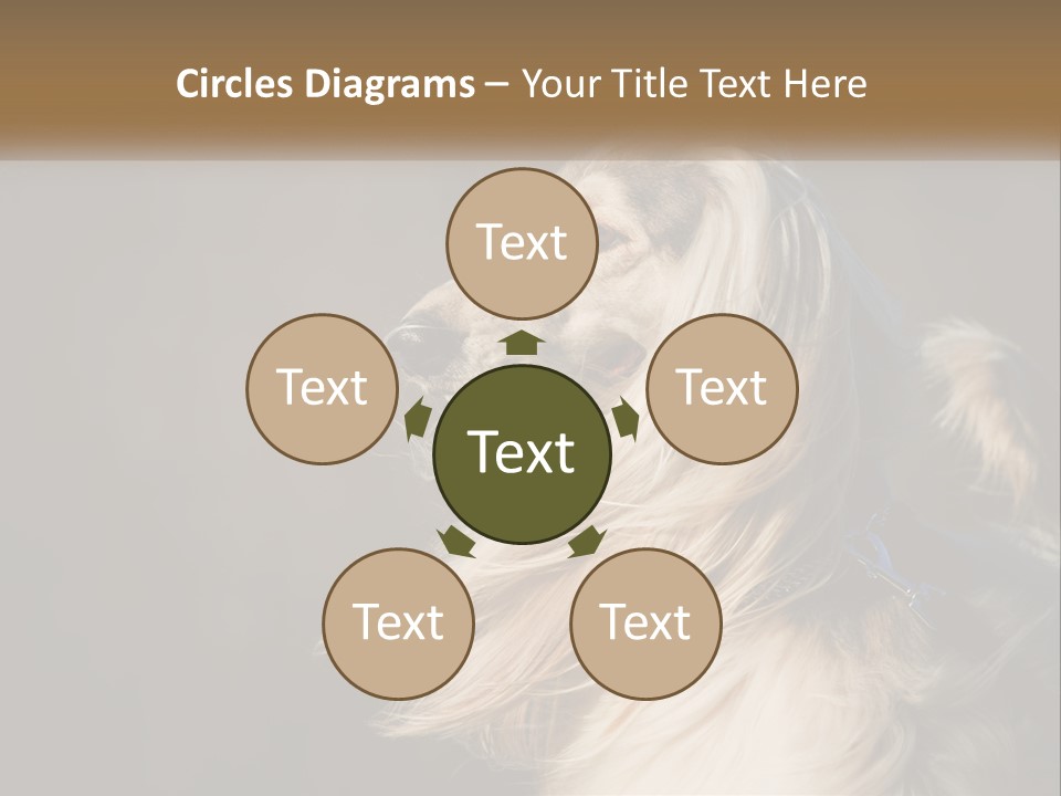 Park Construct Loan PowerPoint Template