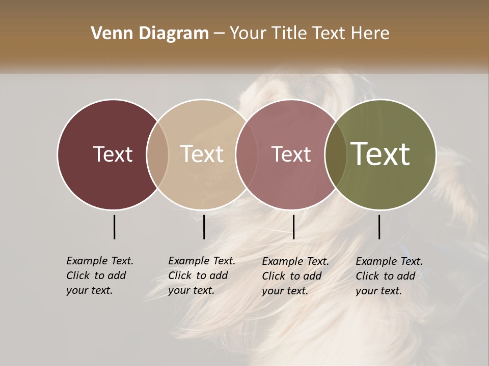 Park Construct Loan PowerPoint Template