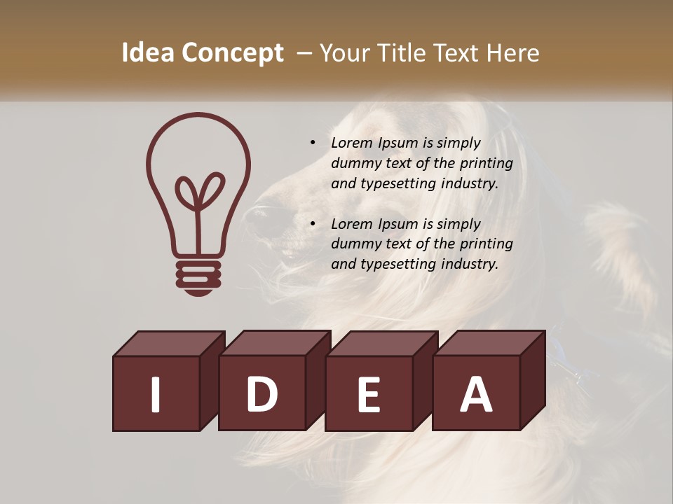 Park Construct Loan PowerPoint Template