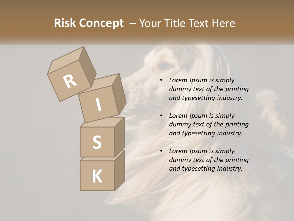 Park Construct Loan PowerPoint Template