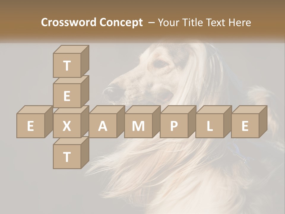 Park Construct Loan PowerPoint Template