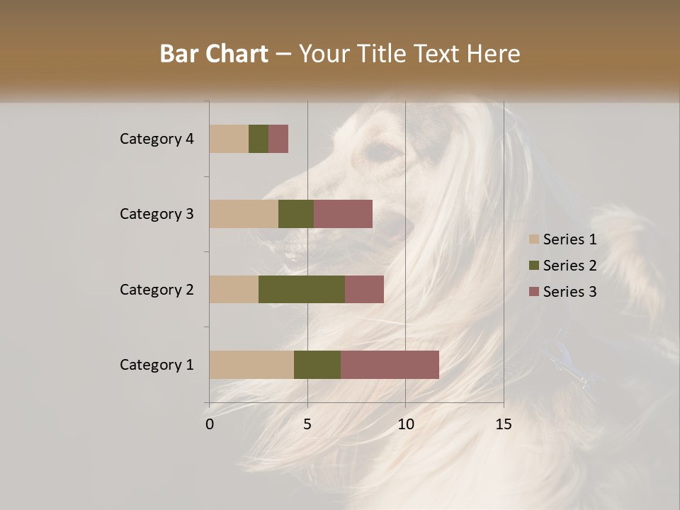 Park Construct Loan PowerPoint Template