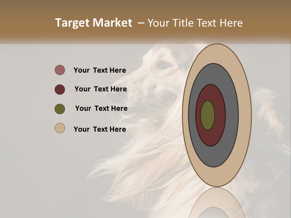 Park Construct Loan PowerPoint Template