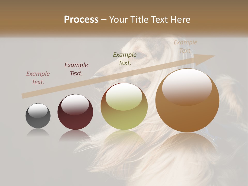 Park Construct Loan PowerPoint Template